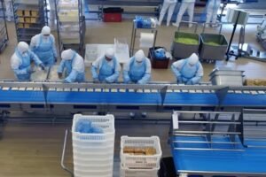 Wholesale Peptides